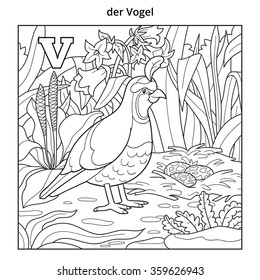 German alphabet, colorless illustration (letter V). Coloring book (bird)