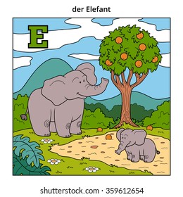 German alphabet, vector illustration (letter E). Color image (two elephants and background)