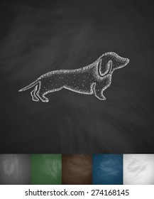 german badger-dog icon. Hand drawn vector illustration. Chalkboard Design