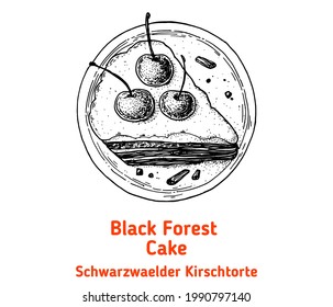 German black forest cake hand drawn vector illustration. Vintage design element. Sketch illustration.