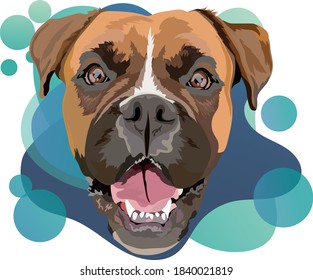 German boxer vector illustration. Portrait.Сolor gradient