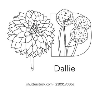 German or Deutsch Plant Floral Alphabet for the kids: letter D - Dahlia. Vector letter and character.
Cartoon colorless line art Illustration