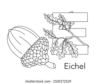 German or Deutsch Plant Floral Alphabet for the kids: letter E - Acorn, Oak. Vector letter and character.
Cartoon colorless line art Illustration