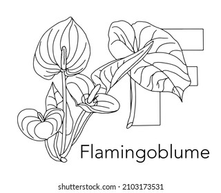 German or Deutsch Plant Floral Alphabet for the kids: letter F - Flamingo flower. Vector letter and character.
Cartoon colorless line art Illustration