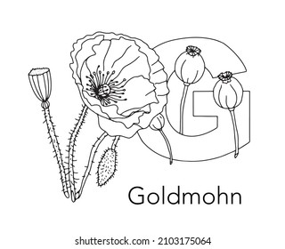 German or Deutsch Plant Floral Alphabet for the kids: letter G - Gold poppy. Vector letter and character.
Cartoon colorless line art Illustration