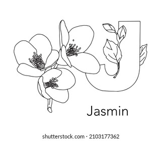 German or Deutsch Plant Floral Alphabet for the kids: letter J - Jasmine. Vector letter and character.
Cartoon colorless line art Illustration