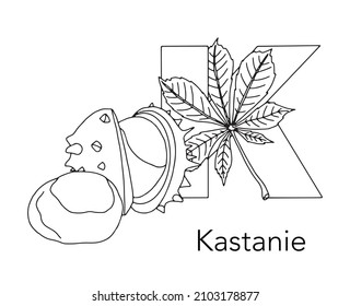 German or Deutsch Plant Floral Alphabet for the kids: letter K - Chestnut. Vector letter and character.
Cartoon colorless line art Illustration