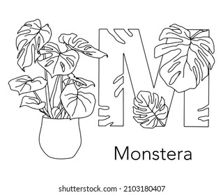 German or Deutsch Plant Floral Alphabet for the kids: letter M - Monstera. Vector letter and character.
Cartoon colorless line art Illustration