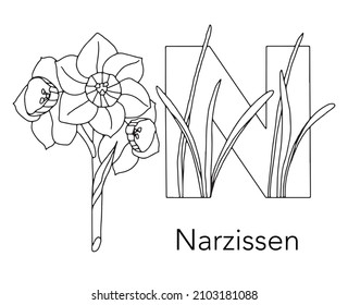 German or Deutsch Plant Floral Alphabet for the kids: letter N - Narcissus. Vector letter and character.
Cartoon colorless line art Illustration