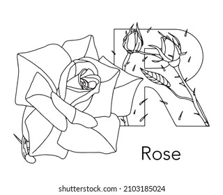 German or Deutsch Plant Floral Alphabet for the kids: letter R - Rose. Vector letter and character.
Cartoon colorless line art Illustration