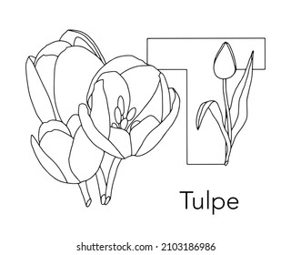 German or Deutsch Plant Floral Alphabet for the kids: letter T - Tulip. Vector letter and character.
Cartoon colorless line art Illustration