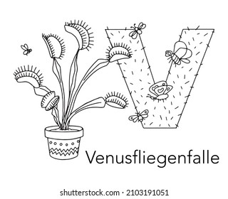 German or Deutsch Plant Floral Alphabet for the kids: letter V - Venus flytrap. Vector letter and character.
Cartoon colorless line art Illustration