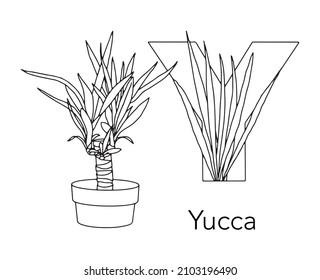 German or Deutsch Plant Floral Alphabet for the kids: letter Y - Yucca. Vector letter and character.
Cartoon colorless line art Illustration