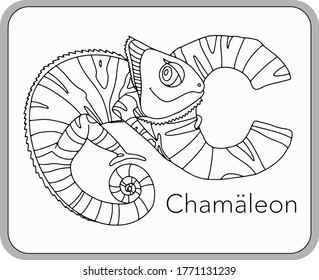 German or Deutsch Zoo Animals Alphabet for the kids: letter C - Chameleon. Vector letter and character.
Cartoon colorless Illustration