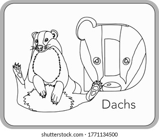 German or Deutsch Zoo Animals Alphabet for the kids: letter D - Badger (Dachs). Vector letter and character.
Cartoon colorless Illustration