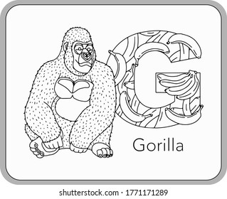 German or Deutsch Zoo Animals Alphabet for the kids: letter G - Gorilla. Vector letter and character.
Cartoon colorless Illustration