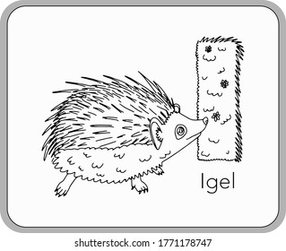 German or Deutsch Zoo Animals Alphabet for the kids: letter I - hedgehog (igel). Vector letter and character.
Cartoon colorless Illustration