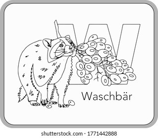 German or Deutsch Zoo Animals Alphabet for the kids: letter W - Racoon . Vector letter and character.
Cartoon colorless Illustration