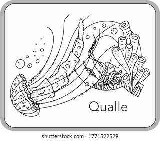 German or Deutsch Zoo Animals Alphabet for the kids: letter Q - Jellyfish (qualle). Vector letter and character.
Cartoon colorless Illustration