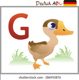 German or Deutsch Zoo Animals Alphabet for the kids: G