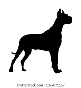 German Great Dane Dog Silhouette. Smooth Vector Illustration.