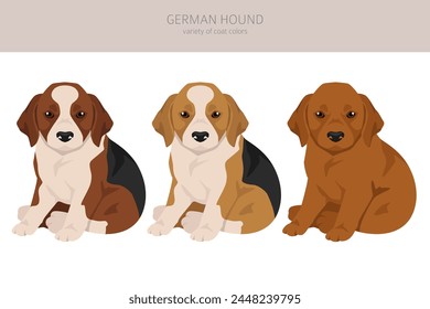 German Hound puppy clipart. Different coat colors set.  Vector illustration