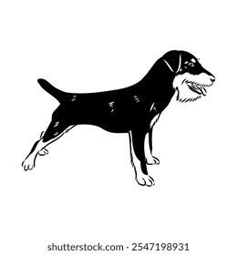 German Jagdterrier dog, vector sketch . Hand drawn ink realistic sketching isolated on white.