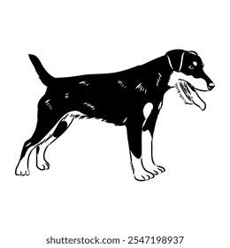 German Jagdterrier dog, vector sketch . Hand drawn ink realistic sketching isolated on white.