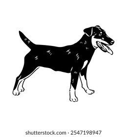 German Jagdterrier dog, vector sketch . Hand drawn ink realistic sketching isolated on white.