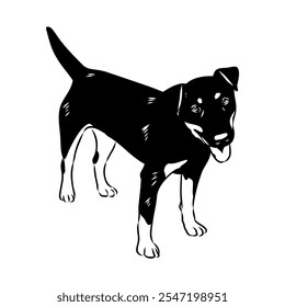 German Jagdterrier dog, vector sketch . Hand drawn ink realistic sketching isolated on white.