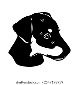 German Jagdterrier dog, vector sketch . Hand drawn ink realistic sketching isolated on white.