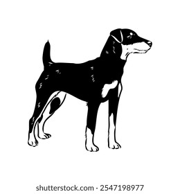 German Jagdterrier dog, vector sketch . Hand drawn ink realistic sketching isolated on white.