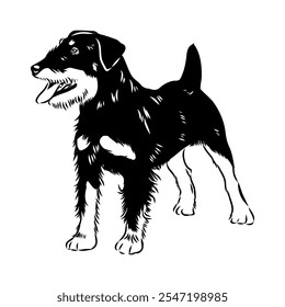 German Jagdterrier dog, vector sketch . Hand drawn ink realistic sketching isolated on white.