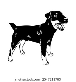 German Jagdterrier dog, vector sketch . Hand drawn ink realistic sketching isolated on white.