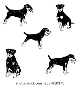 German Jagdterrier dog, vector sketch . Hand drawn ink realistic sketching isolated on white.