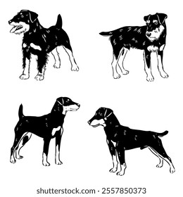 German Jagdterrier dog, vector sketch . Hand drawn ink realistic sketching isolated on white.