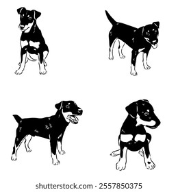 German Jagdterrier dog, vector sketch . Hand drawn ink realistic sketching isolated on white.