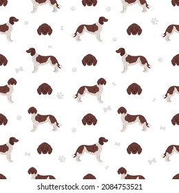 German longhaired pointer seamless pattern. Different poses, coat colors set.  Vector illustration