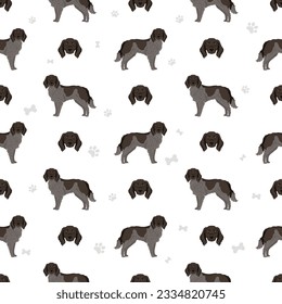 German longhaired pointer seamless pattern. Different poses, coat colors set.  Vector illustration