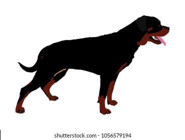 German military guardian dog rottweiler portrait vector. Dog for detecting smuggling drugs. Beware of purebred dog. Dog show champion. Best friend. Alert, guard attention.