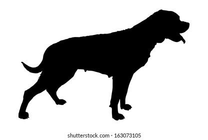 German military guardian dog rottweiler silhouette portrait vector. Dog for detecting smuggling drugs. Beware of purebred dog. Dog show champion. Best friend. Alert, guard attention.