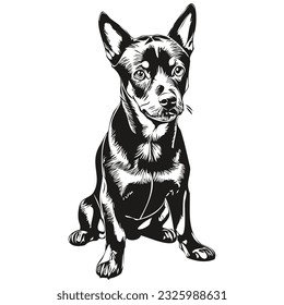 German Pinscher dog face vector portrait, funny outline pet illustration white background