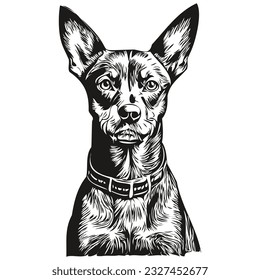 German Pinscher dog ink sketch drawing, vintage tattoo or t shirt print black and white vector