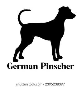 German Pinscher Dog silhouette dog breeds logo dog monogram logo dog face vector