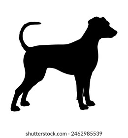 German Pinscher Dog silhouette dog breeds logo dog monogram vector