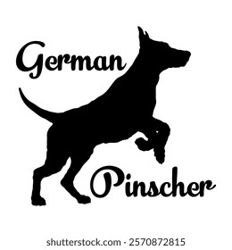 German Pinscher. dog silhouette, dog breeds, logo, vector, silhouette,  animal, illustration, icon, sign, design, black, symbol, pet, love
