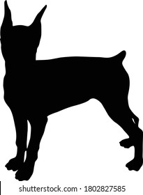 Deutscher Pinscher Hund Silhouette gefunden in Karte von Europa