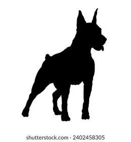 German Pinscher Dog silhouette High quality  Breeds Bundle Dogs on the move. Dogs in different poses.
 jumps,  runs. dog is sitting. The dog is lying down. The dog is playing