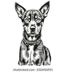 German Pinscher dog silhouette pet character, clip art vector pets drawing black and white