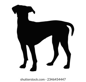 Vector de silueta de perro pinscher alemán.